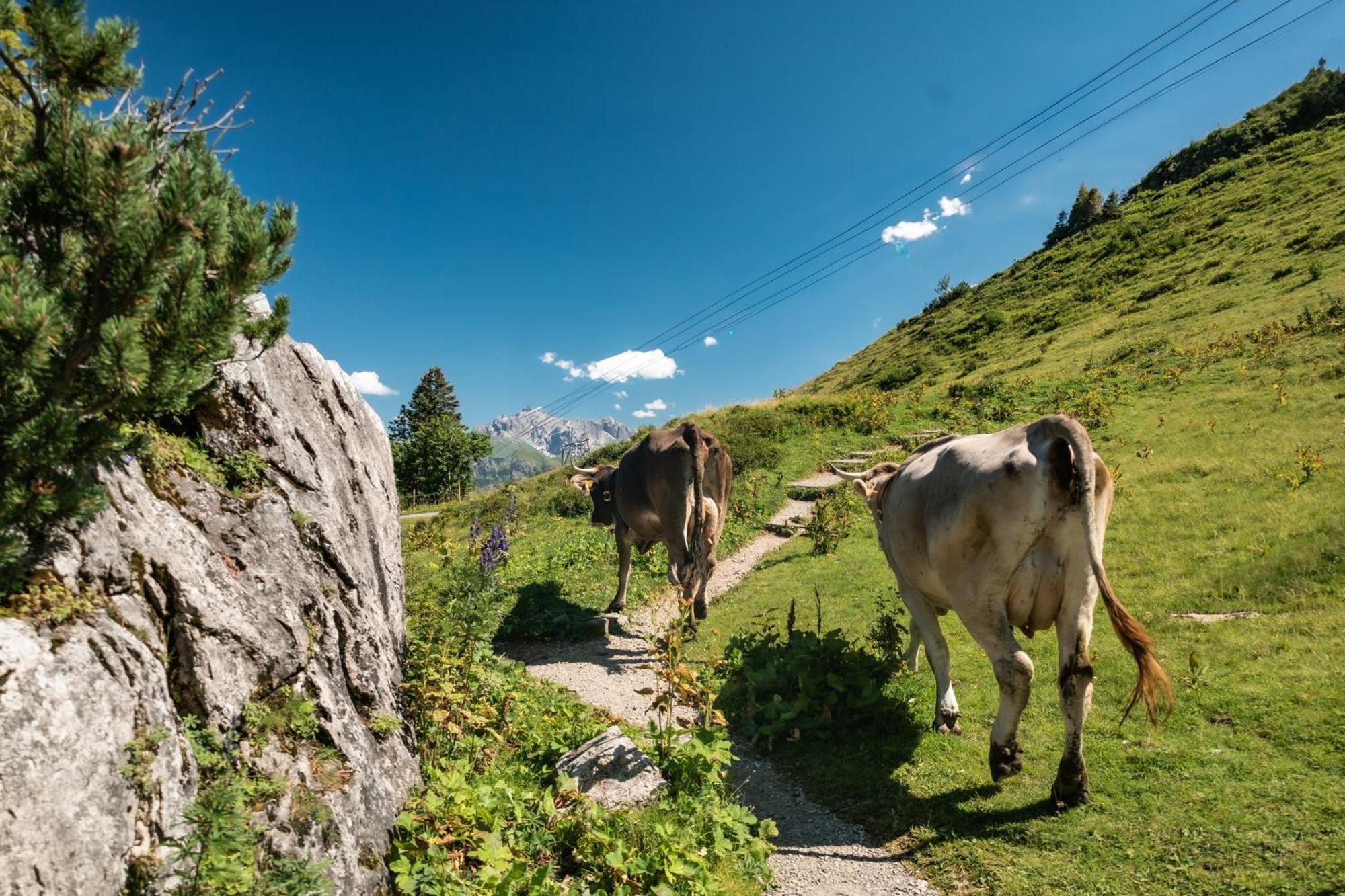 Ferienhaus Geiger Oberstdorf Exteriör bild